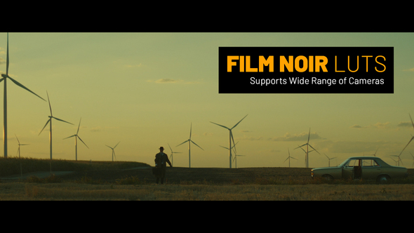 VideoHive Film Noir LUTs