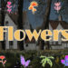 VideoHive Flowers Pack for DaVinci Resolve 48634910