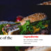 VideoHive Food Menu | MOGRT (PP) 54271993