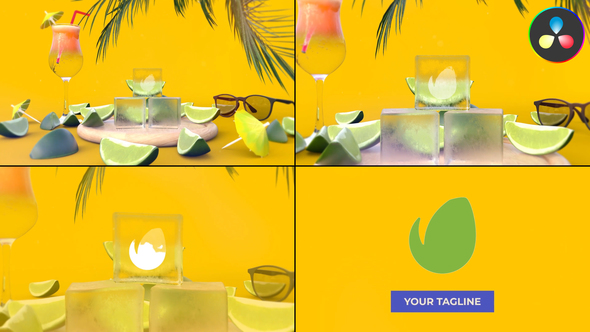 VideoHive Logo Summer for DaVinci Resolve
