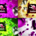 VideoHive Lovely Parchment Logo Reveal 50372805