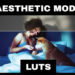 VideoHive LUTs Aesthetic 42313906