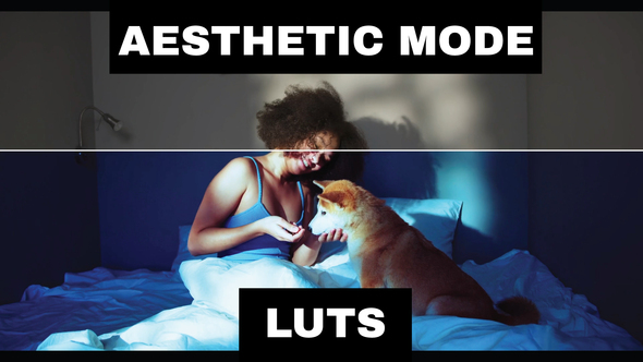 VideoHive LUTs Aesthetic
