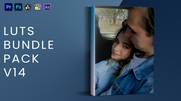 VideoHive LUTs Bundle Pack V14