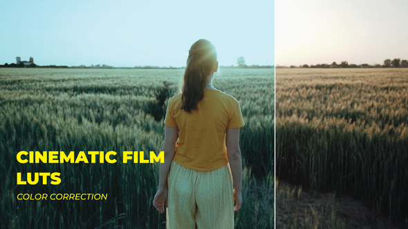 VideoHive LUTs Cinematic Film