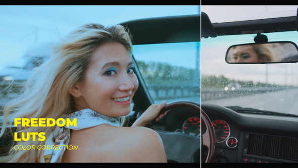 VideoHive LUTs Freedom