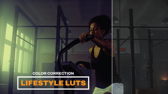 VideoHive LUTs Lifestyle