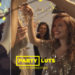 VideoHive LUTs Party 42950861