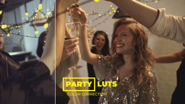 VideoHive LUTs Party