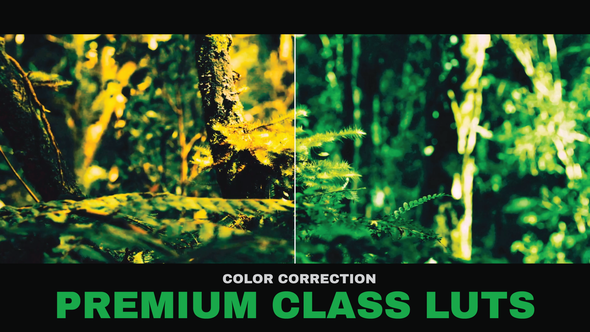 VideoHive LUTs Premium Class