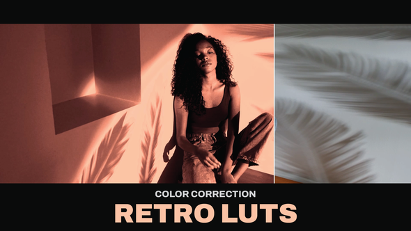 VideoHive LUTs Retro