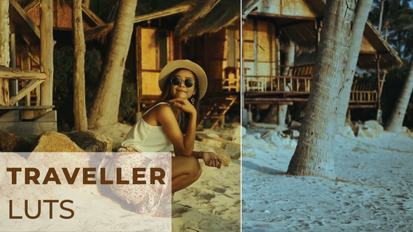 VideoHive LUTs Traveller