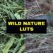 VideoHive LUTs Wild Nature 42168827