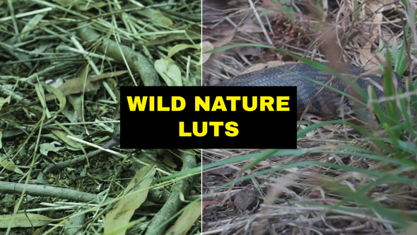 VideoHive LUTs Wild Nature