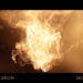 VideoHive Luxury Logo Intro for Premiere Pro 54289040