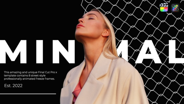 VideoHive Minimal Freeze Frame Transitions.
