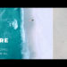VideoHive Nature LUTs 43420641