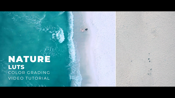 VideoHive Nature LUTs