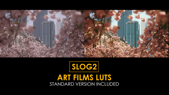 VideoHive Slog2 Art Films and Standard LUTs