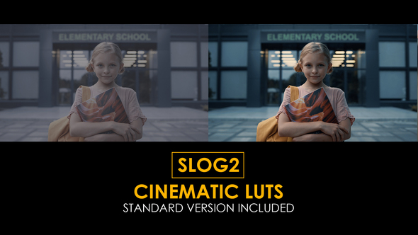 VideoHive Slog2 Cinematic LUTs