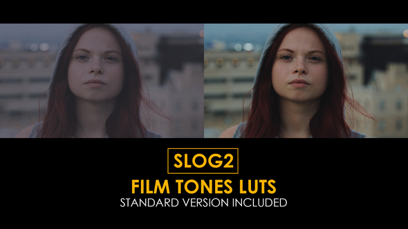 VideoHive Slog2 Film Tones and Standard LUTs