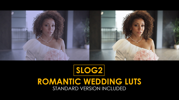 VideoHive Slog2 Romantic Wedding and Standard LUTs
