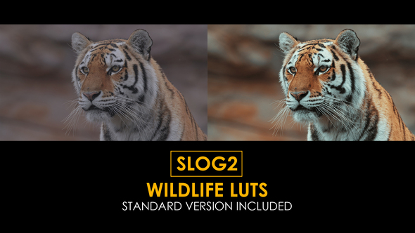 VideoHive Slog2 Wildlife and Standard LUTs