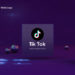 VideoHive Tiktok Logo 53441355