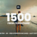 VideoHive Transitions for Premiere Pro 56153991