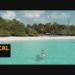VideoHive Tropical LUTs 50040356