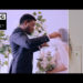 VideoHive Wedding LUTs 43419676