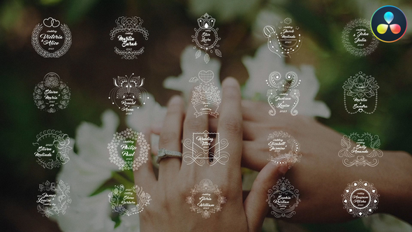 VideoHive Wedding Titles for DaVinci Resolve