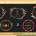 VideoHive Wedding Titles Template Davinci Resolve 54332114