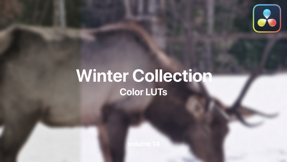 VideoHive Winter LUTs Collection Vol. 14