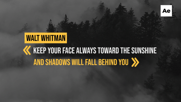 Videohive 16 Corporate Quotes Titles /Ae 58311669