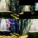 Magic Forest Unveil Videohive