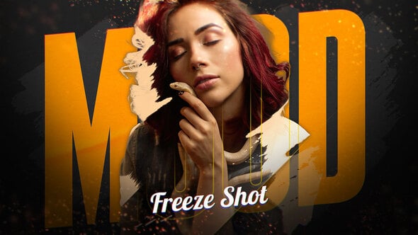 Videohive Mood Freeze Shot